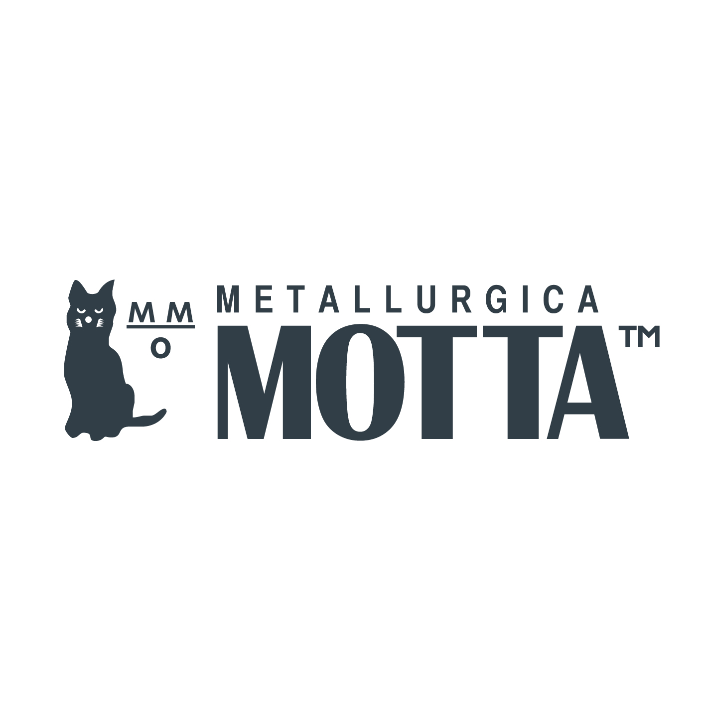 Logo Metallurgica Motta